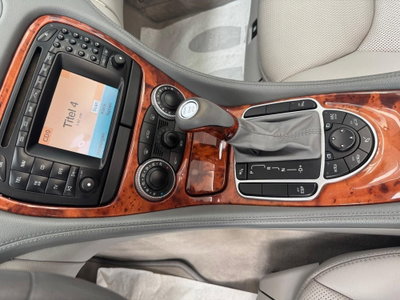 Mercedes-Benz SL 500 cat (14)