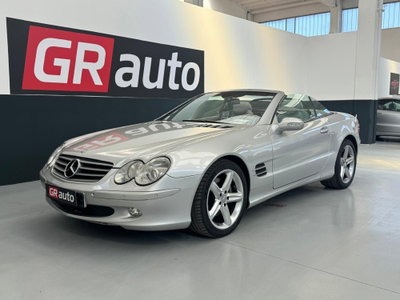 Mercedes-Benz SL 500 cat (2)