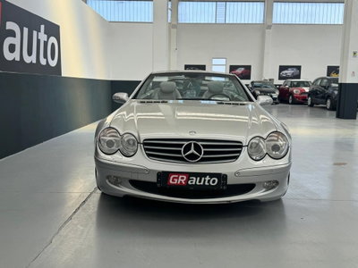 Mercedes-Benz SL 500 cat (3)