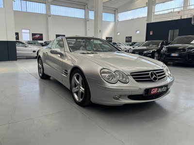 Mercedes-Benz SL 500 cat (4)