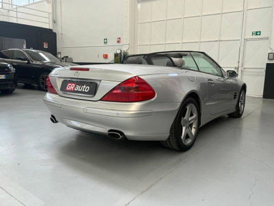 Mercedes-Benz SL 500 cat (5)
