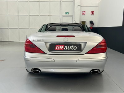 Mercedes-Benz SL 500 cat (6)