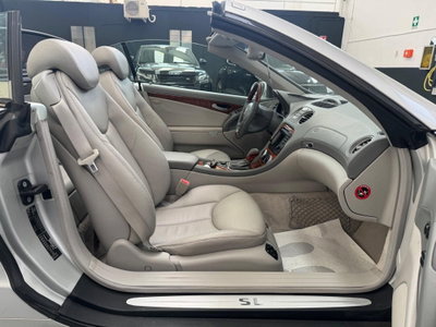 Mercedes-Benz SL 500 cat (8)