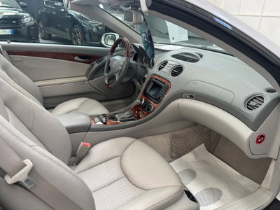 Mercedes-Benz SL 500 cat (9)