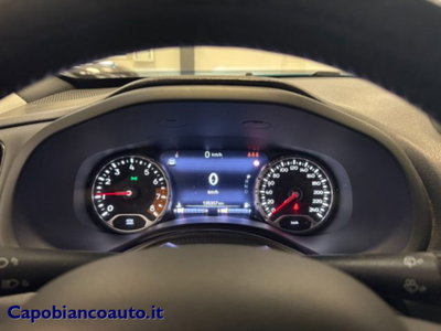 Jeep Renegade 1.3 T4 DDCT Business (10)