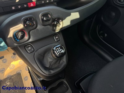 Fiat Panda 1.0 firefly hybrid s&s 70cv (10)