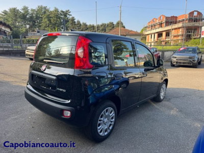 Fiat Panda 1.0 firefly hybrid s&s 70cv (3)