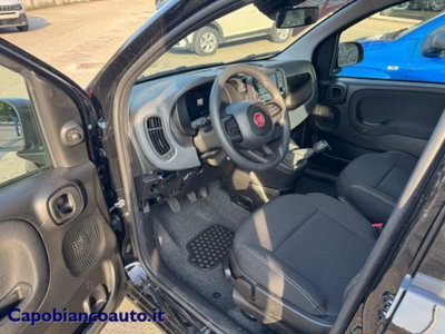 Fiat Panda 1.0 firefly hybrid s&s 70cv (4)