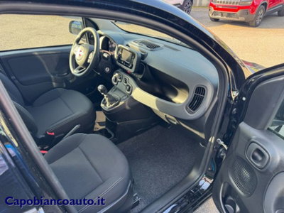 Fiat Panda 1.0 firefly hybrid s&s 70cv (5)