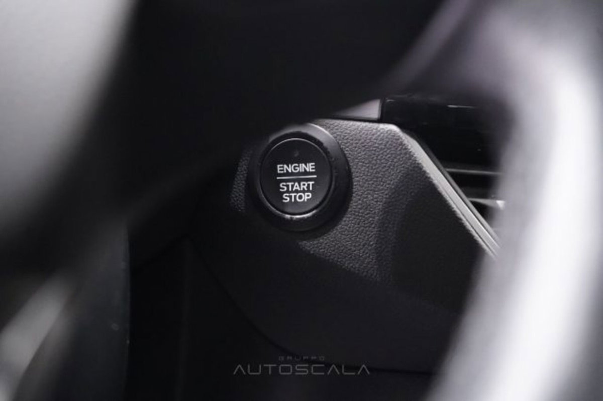 Ford Kuga 2.0 EcoBlue Hybrid 150 CV 2WD Titanium (15)
