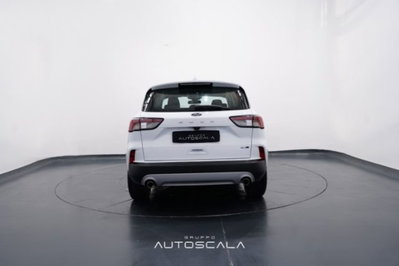 Ford Kuga 2.0 EcoBlue Hybrid 150 CV 2WD Titanium (5)