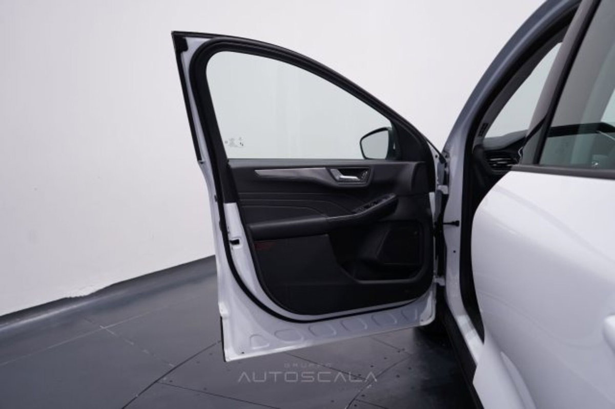 Ford Kuga 2.0 EcoBlue Hybrid 150 CV 2WD Titanium (9)