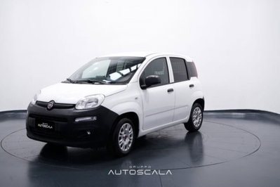 Fiat Panda 1.2 Pop Van 2 posti usata