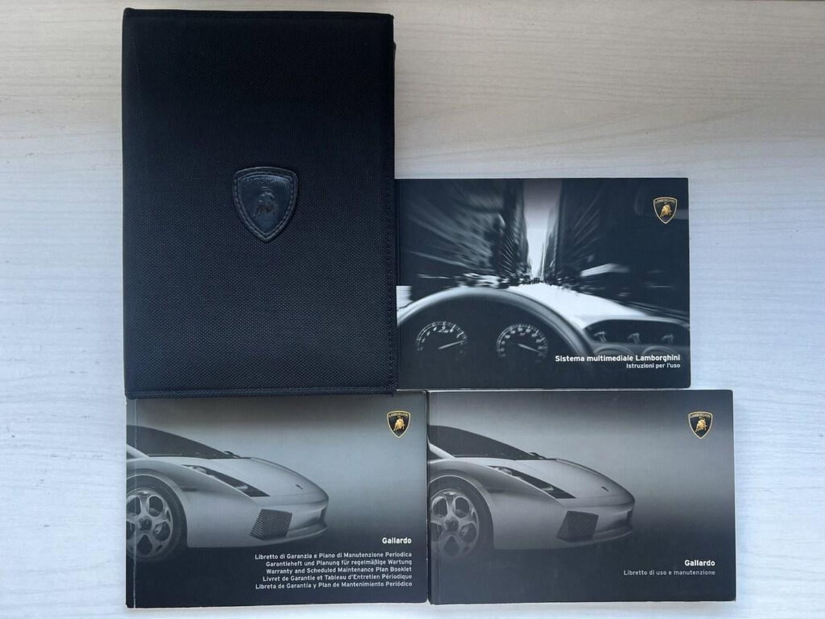 Lamborghini Gallardo Coupé 5.0 V10 SE (8)