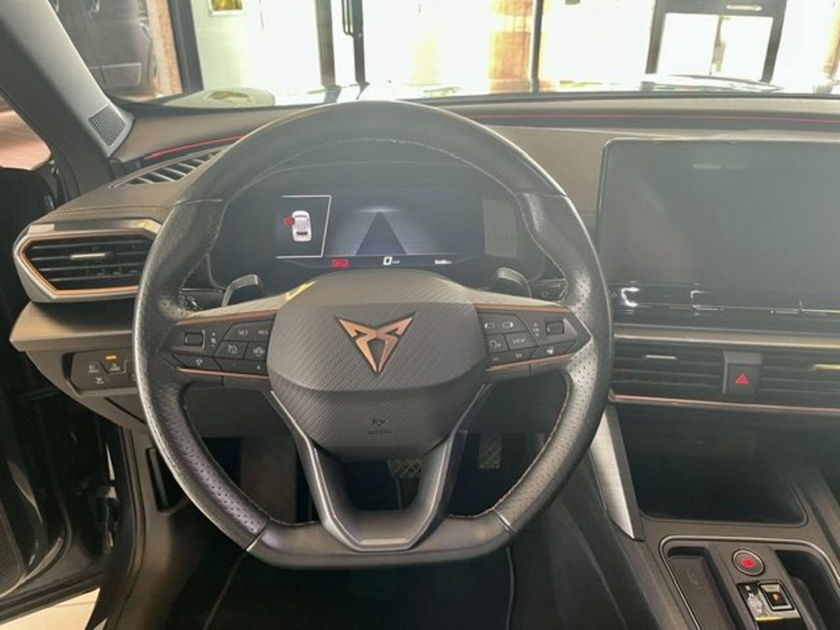 Cupra Formentor Formentor 2.0 tdi 4drive 150cv dsg (11)