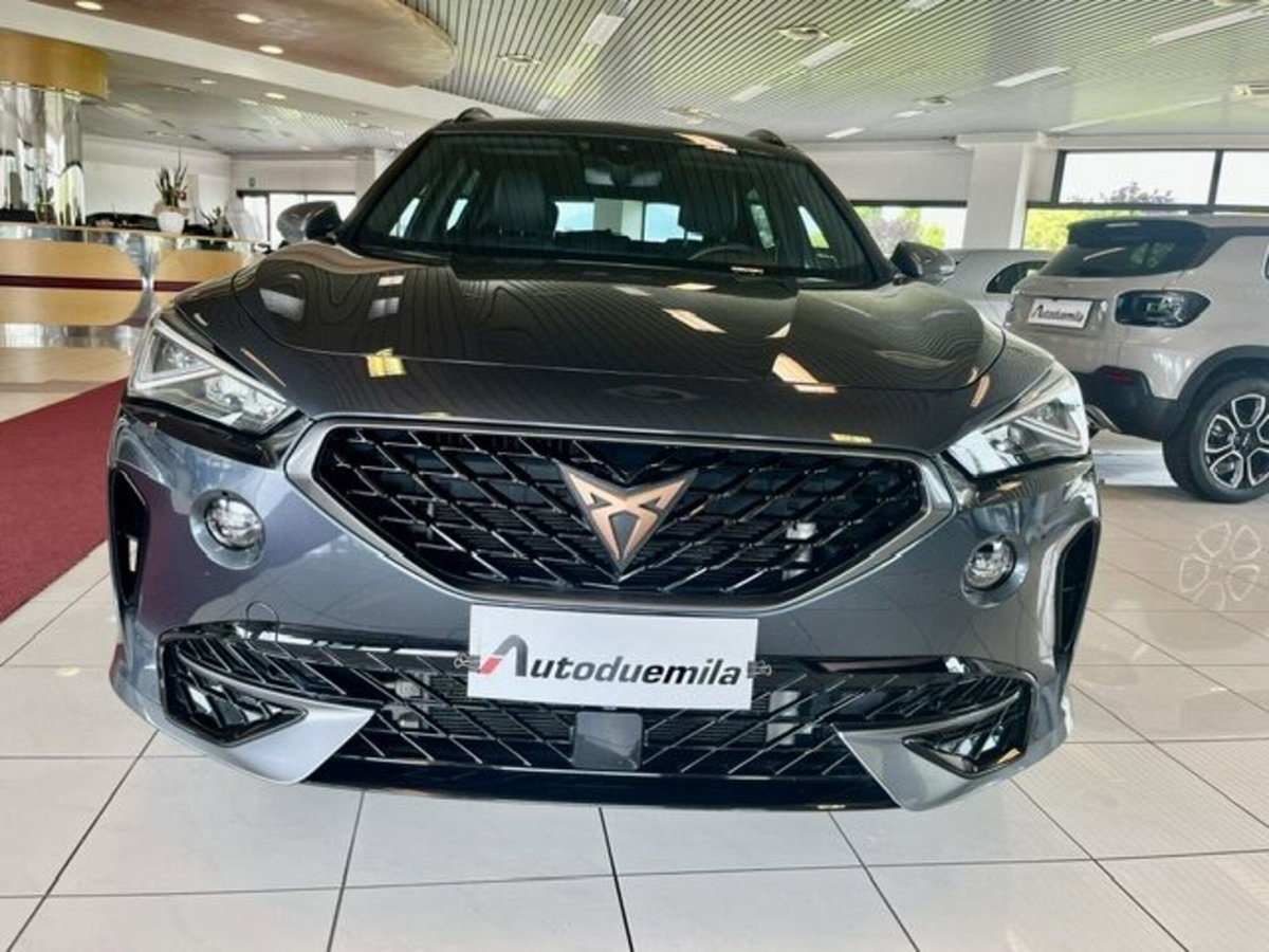 Cupra Formentor Formentor 2.0 tdi 4drive 150cv dsg (2)