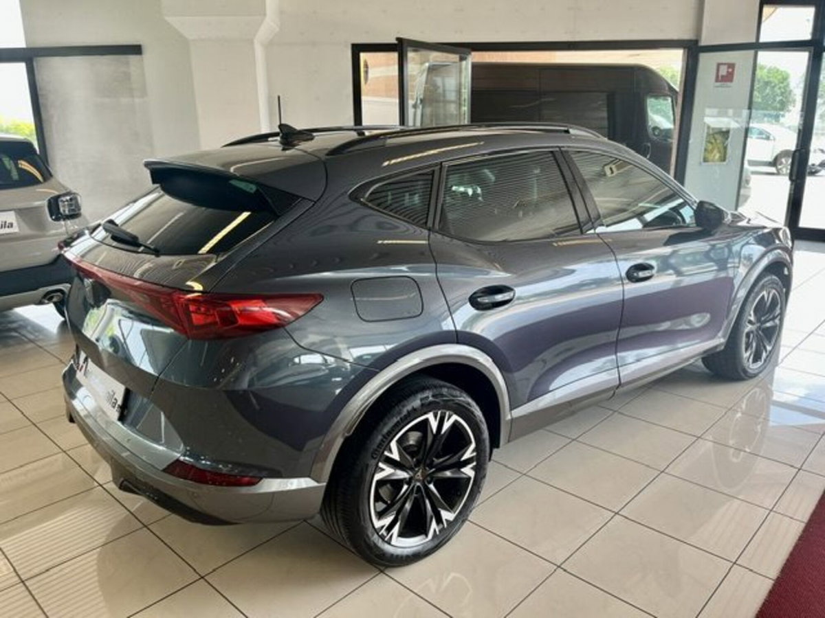 Cupra Formentor Formentor 2.0 tdi 4drive 150cv dsg (6)