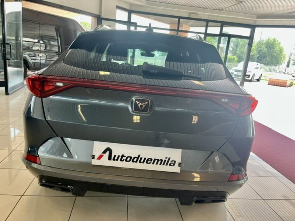 Cupra Formentor Formentor 2.0 tdi 4drive 150cv dsg (7)