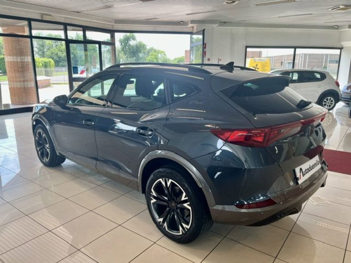 Cupra Formentor Formentor 2.0 tdi 4drive 150cv dsg (8)