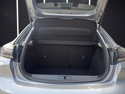 Peugeot 208 PureTech 100 Stop&Start 5 porte Allure (20)