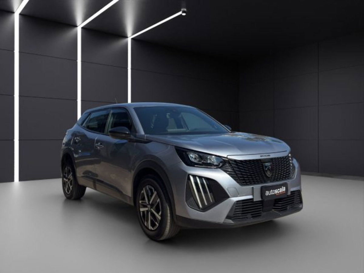 Peugeot 2008 PureTech 100 S&S Active (7)