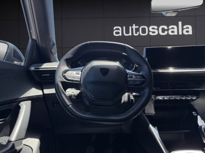 Peugeot 2008 PureTech 100 S&S Active (10)