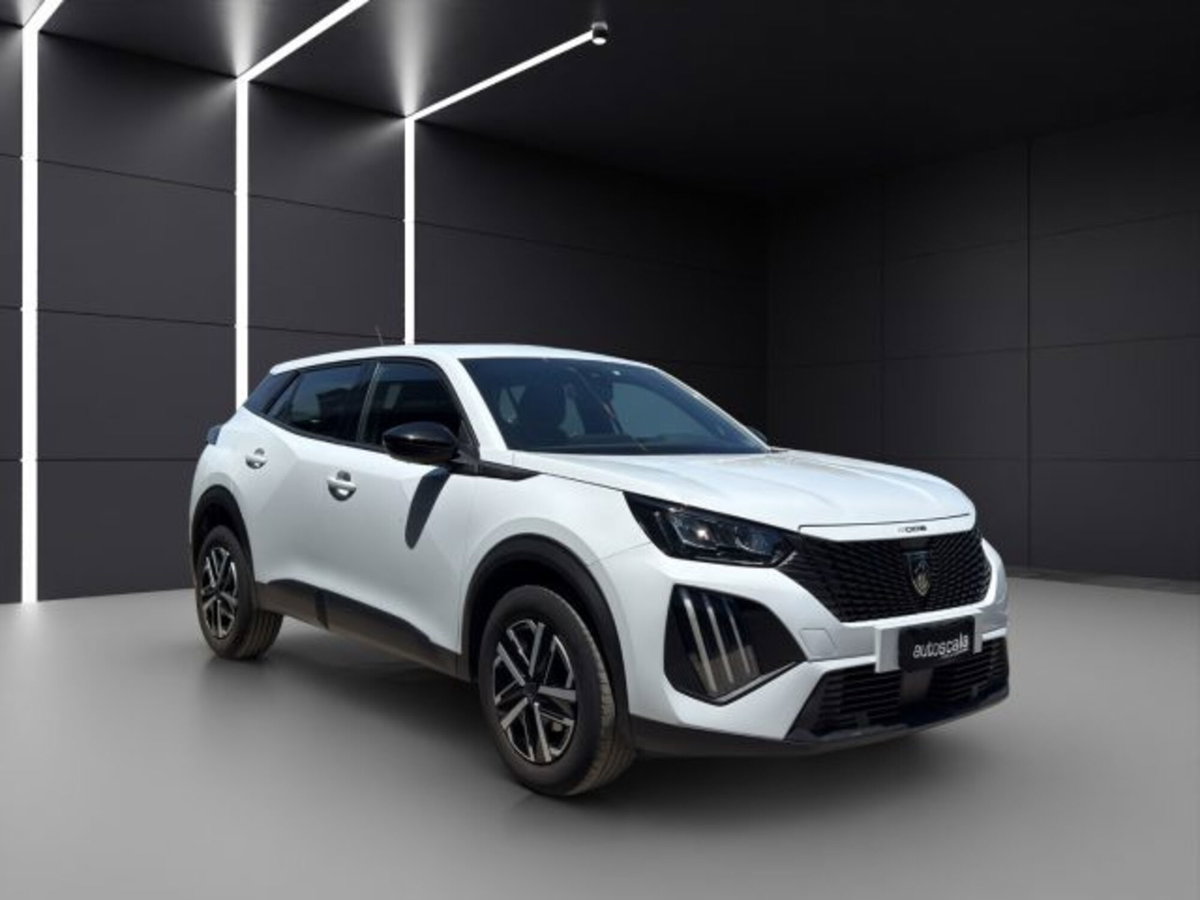 Peugeot 2008 PureTech 100 S&S Active (7)