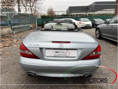 Mercedes-Benz SL 500 cat (6)
