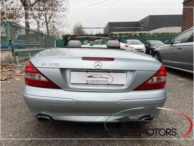 Mercedes-Benz SL 500 cat (7)