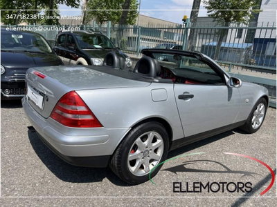 Mercedes-Benz SLK 200 cat (6)