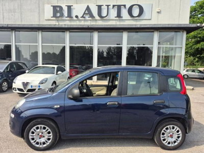Fiat Panda 1.2 Easy usata