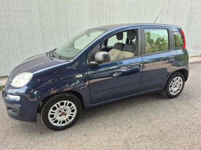 Fiat Panda 1.2 Easy (5)