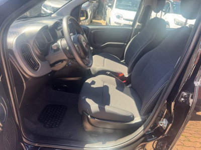 Fiat Panda 1.0 firefly hybrid s&s 70cv 5p.ti (16)