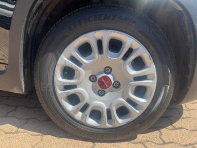 Fiat Panda 1.0 firefly hybrid s&s 70cv 5p.ti (17)