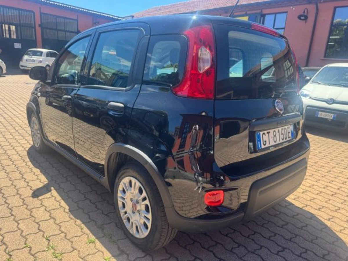 Fiat Panda 1.0 firefly hybrid s&s 70cv 5p.ti (4)