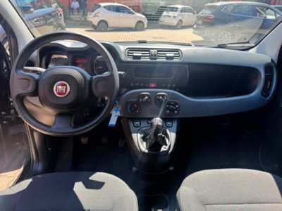 Fiat Panda 1.0 firefly hybrid s&s 70cv 5p.ti (8)