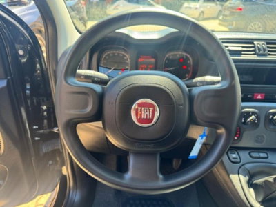 Fiat Panda 1.0 firefly hybrid s&s 70cv 5p.ti (9)