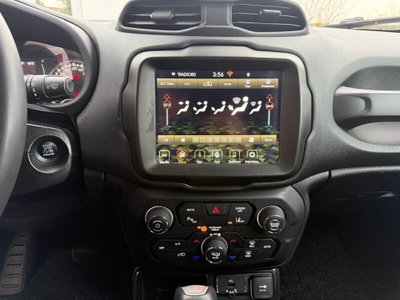 Jeep Renegade 1.6 Mjt DDCT 120 CV Business (19)