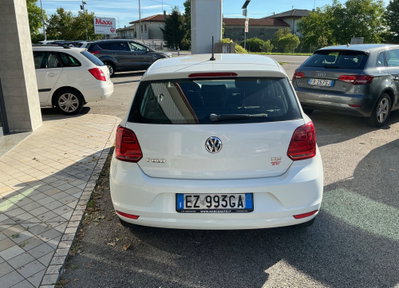 Volkswagen Polo 1.4 TDI 5p. Fresh (5)