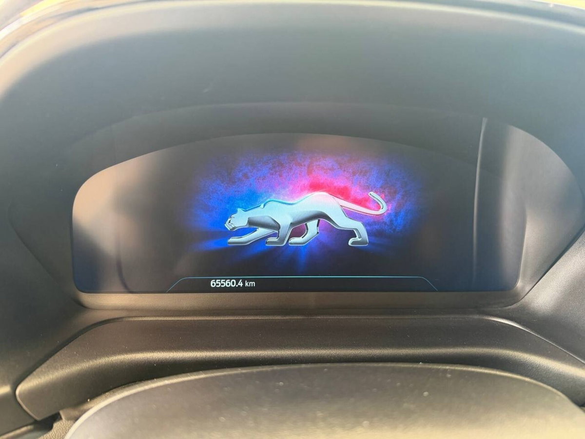 Ford Puma 1.5 EcoBlue 120 CV S&S ST-Line X Design (10)