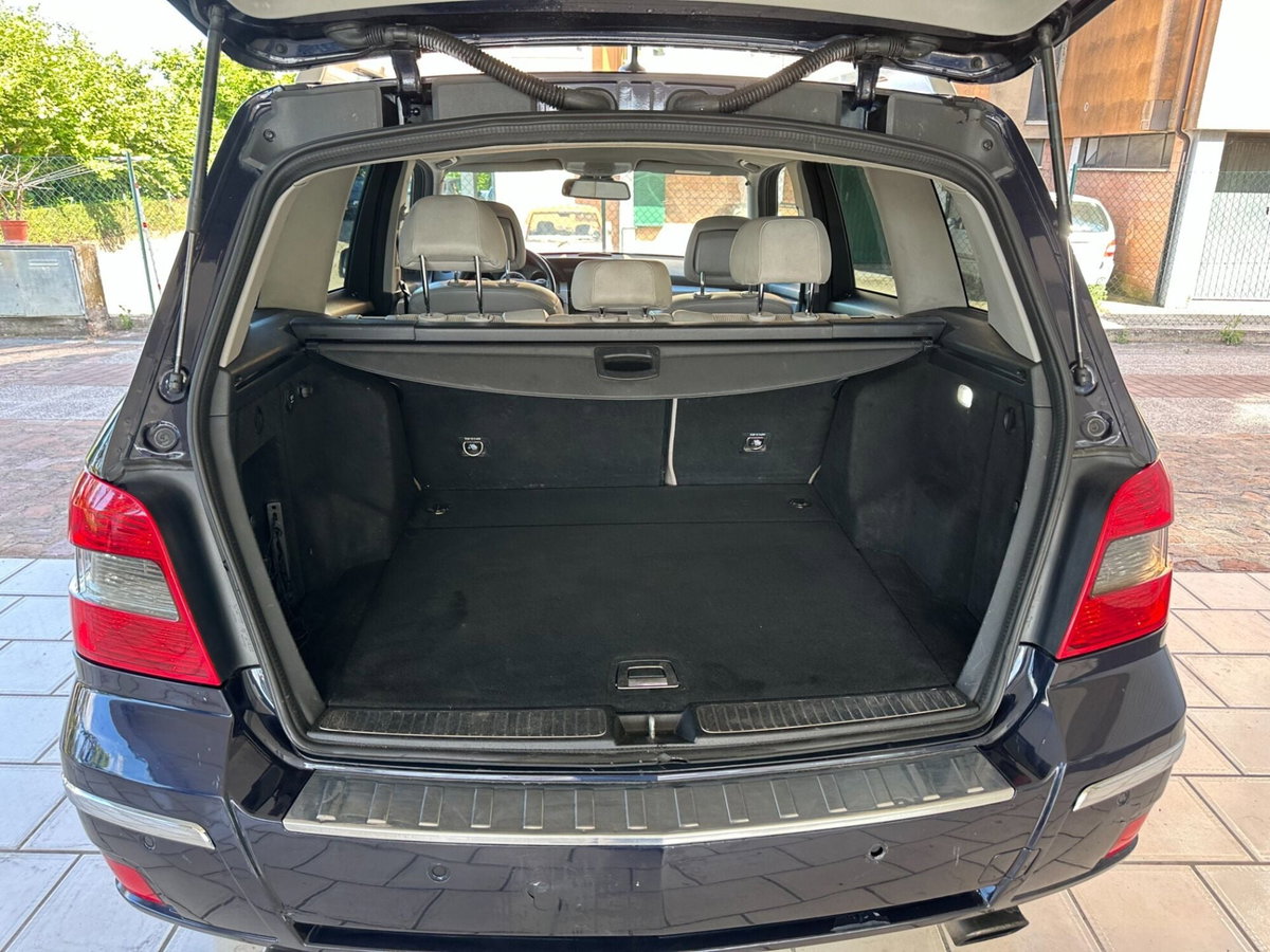 Mercedes-Benz GLK 220 CDI 2WD BlueEFFICIENCY (10)