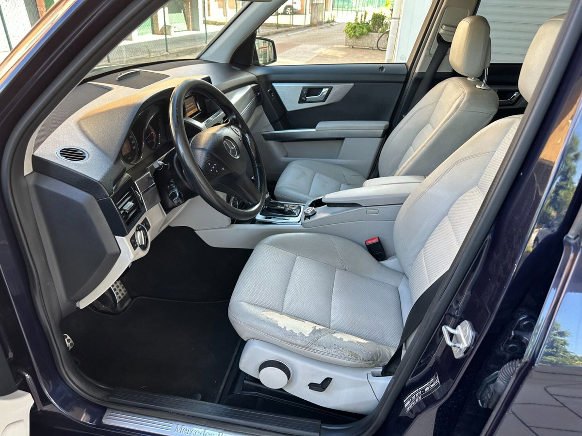 Mercedes-Benz GLK 220 CDI 2WD BlueEFFICIENCY (15)