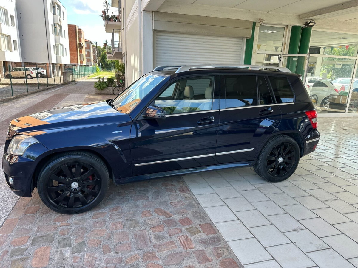 Mercedes-Benz GLK 220 CDI 2WD BlueEFFICIENCY (20)
