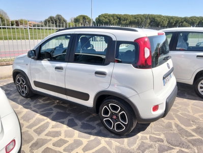 Fiat Panda 1.0 FireFly S&S Hybrid City Life (2)