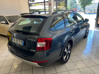 Skoda Octavia Station Wagon 2.0 TDI CR 180 CV 4x4 DSG Wagon Scout (4)