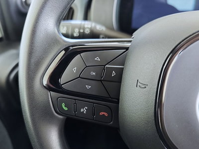Fiat Panda 1.0 FireFly S&S Hybrid (16)
