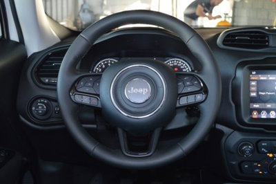 Jeep Renegade 1.0 T3 Night Eagle (10)