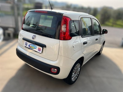 Fiat Panda 1.2 Dynamic (6)