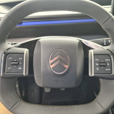 Citroen C3 1.2 puretech You Pack Plus 100cv s&s (13)