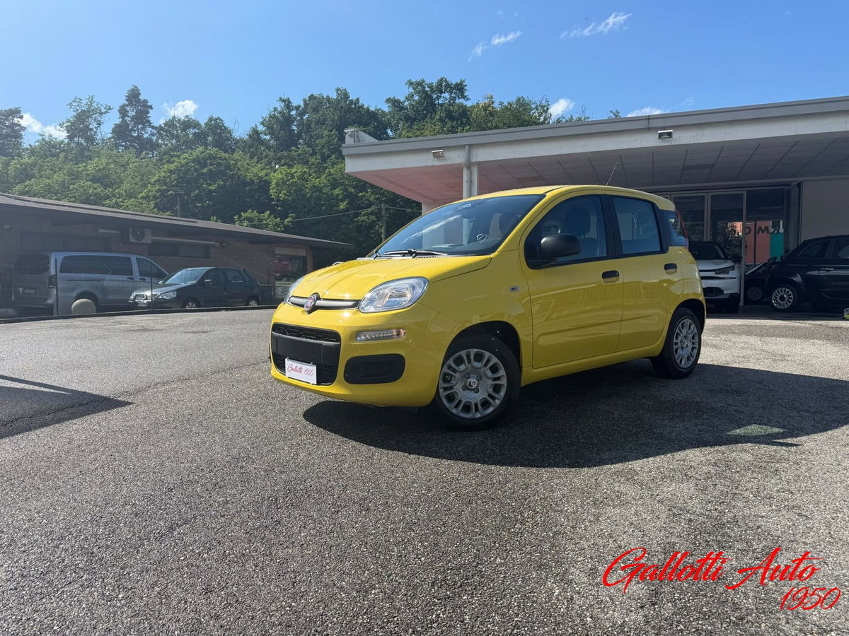 Fiat Pandina 1.0 firefly hybrid Pop s&s 65cv (2)